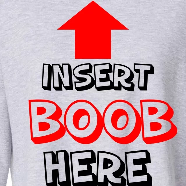 Insert Boob Here Cropped Pullover Crew