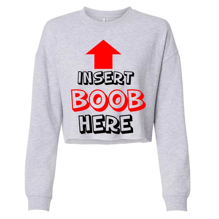 Insert Boob Here Cropped Pullover Crew