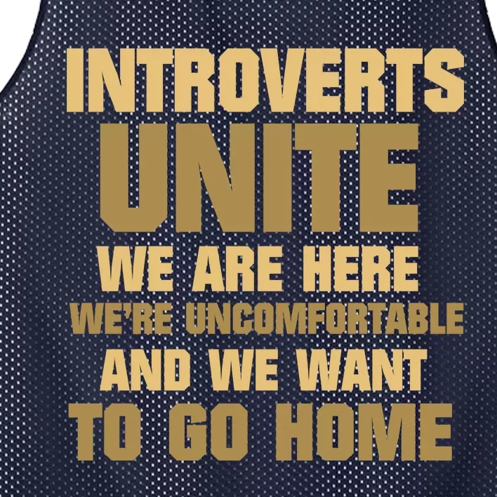 Introverts Unite We Want To Go Home Mesh Reversible Basketball Jersey Tank