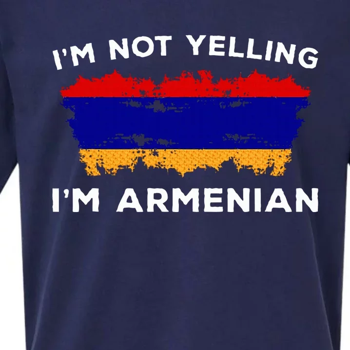 IM Not Yelling IM Armenian Sueded Cloud Jersey T-Shirt