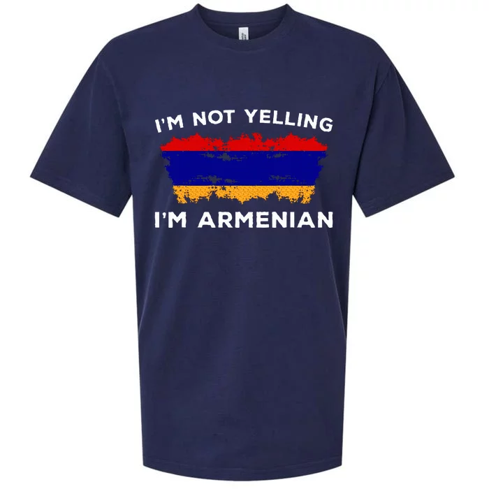 IM Not Yelling IM Armenian Sueded Cloud Jersey T-Shirt