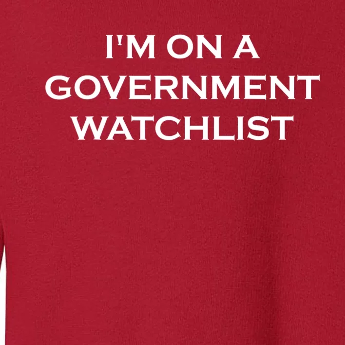 Im On A Government Watchlist Toddler Sweatshirt