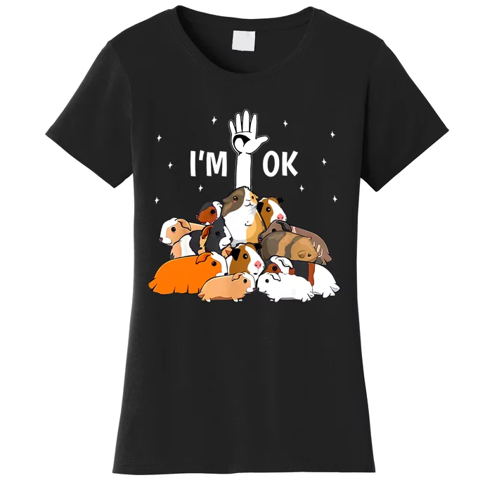 I’m Ok Funny Guinea Pigs Lover Women's T-Shirt