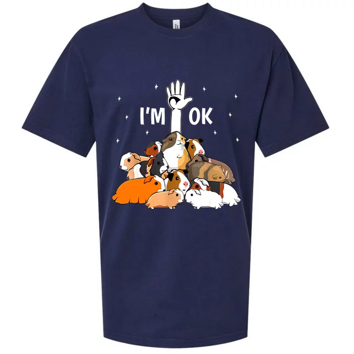 I’m Ok Funny Guinea Pigs Lover Sueded Cloud Jersey T-Shirt