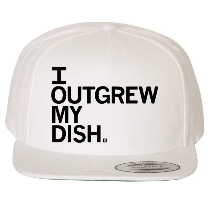 I Outgrew My Dish Wool Snapback Cap