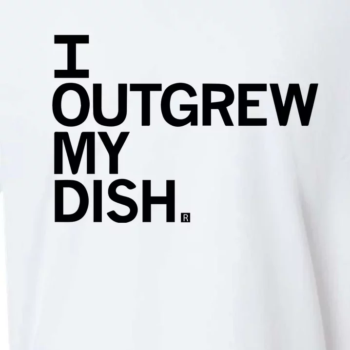 I Outgrew My Dish Sueded Cloud Jersey T-Shirt