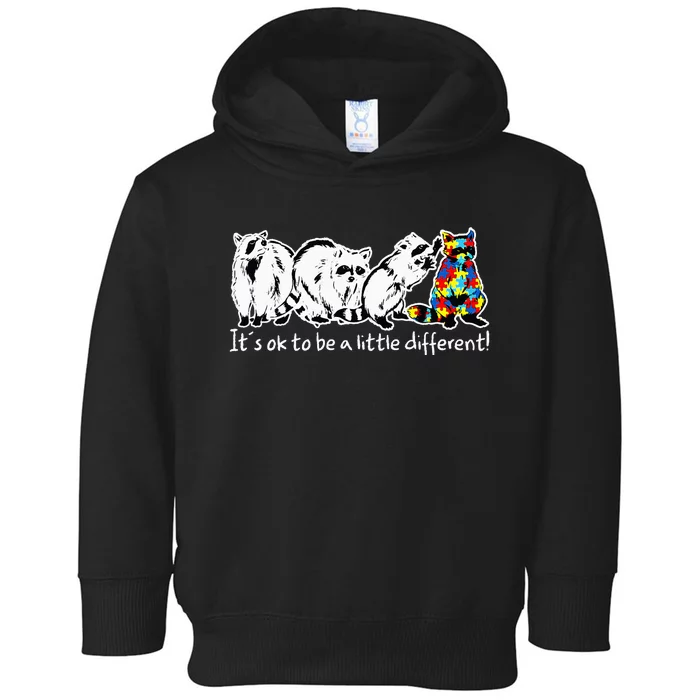 It's Ok To Be A Little Different Funny Raccoon Toddler Hoodie