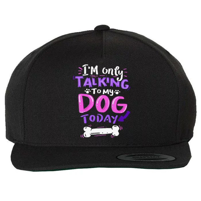 Im Only Talking To My Dog Today Dog Lover Gift Wool Snapback Cap