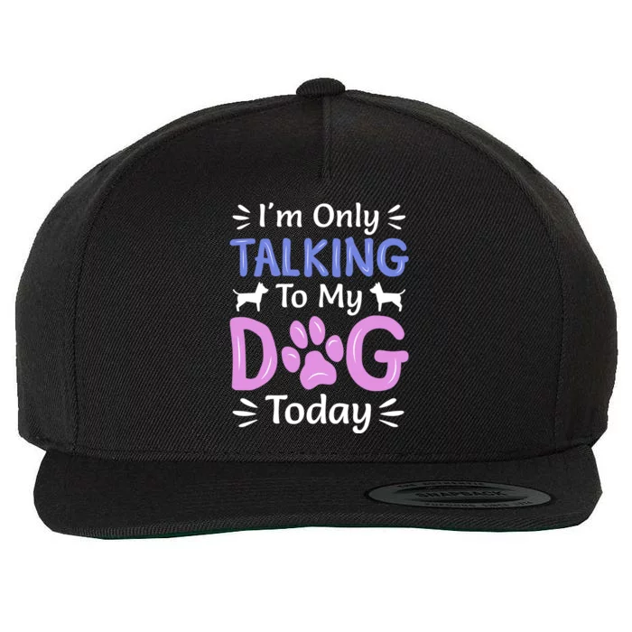 I'm Only Talking To My Dog Today Funny Dog Lover Funny Gift Wool Snapback Cap