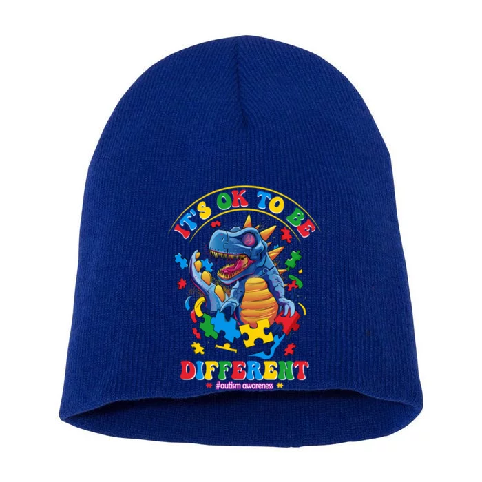 ItS Ok To Be Different Autism Awareness Dinosaur Great Gift Short Acrylic Beanie