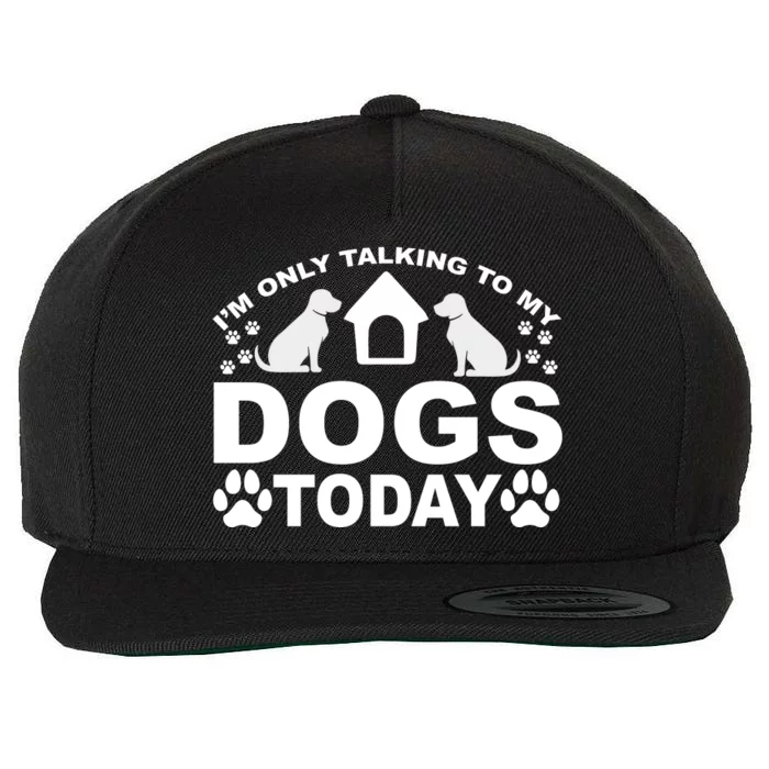 I'm Only Talking To My Dogs Wool Snapback Cap