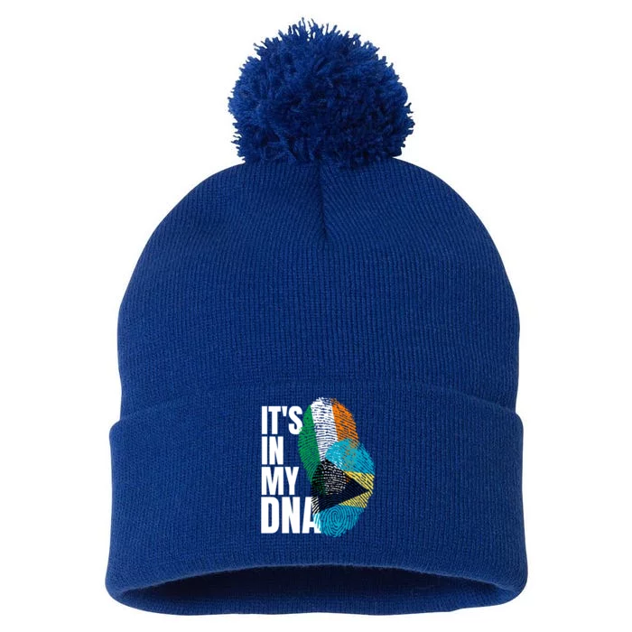 Irish Plus Bahamian Mix Dna Flag Heritage Gift Pom Pom 12in Knit Beanie