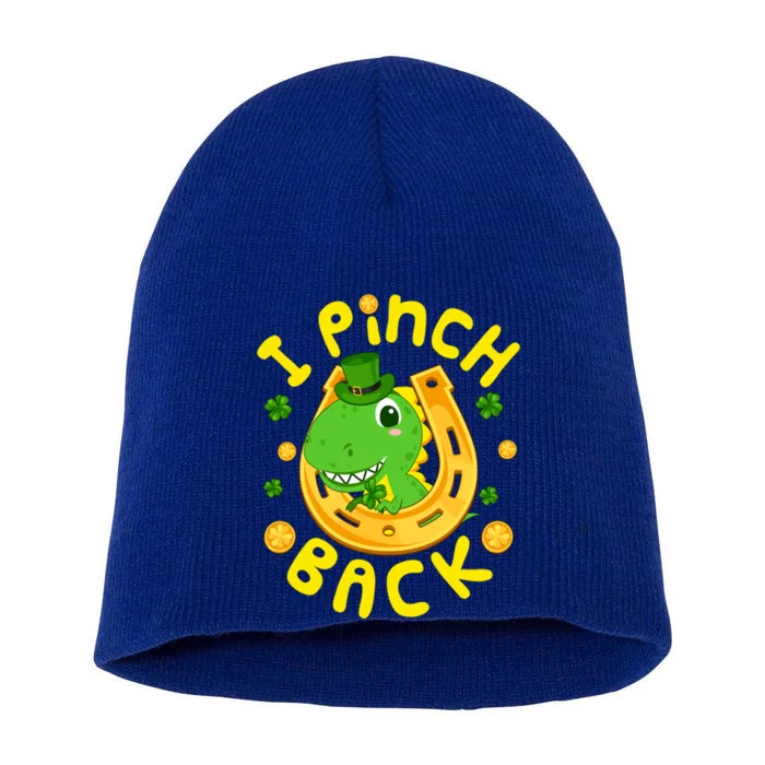 I Pinch Back St Patrick's Day Green Dinosaur Irish Gift Short Acrylic Beanie