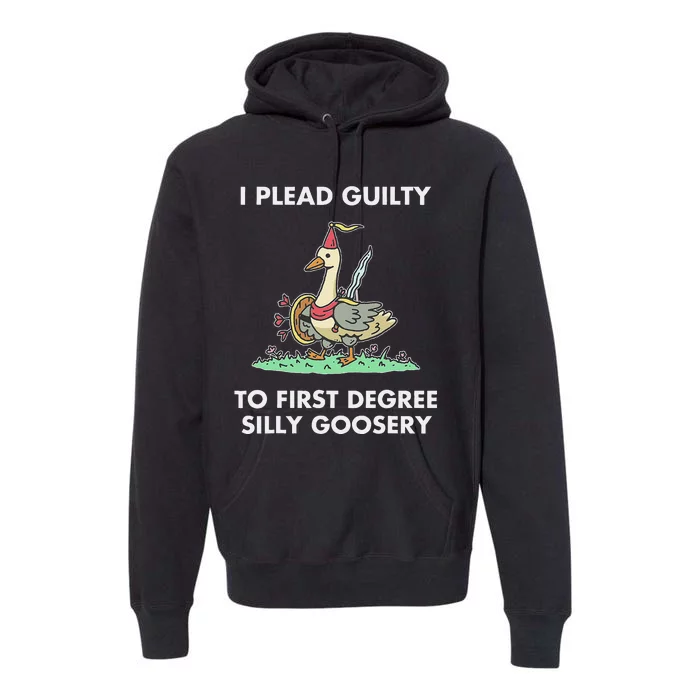 I Plead Guilty To F.I.R.S.T Degree Silly Goosery Apparel Premium Hoodie