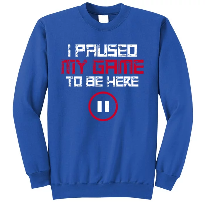 I Paused My Game To Be Here Gaming Gift Sweatshirt