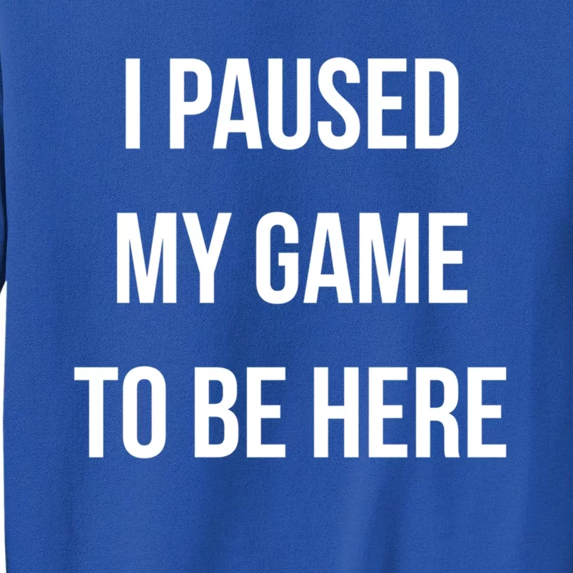 I Paused My Game To Be Here Gamer Hooded Cute Funny Gift Tall Sweatshirt