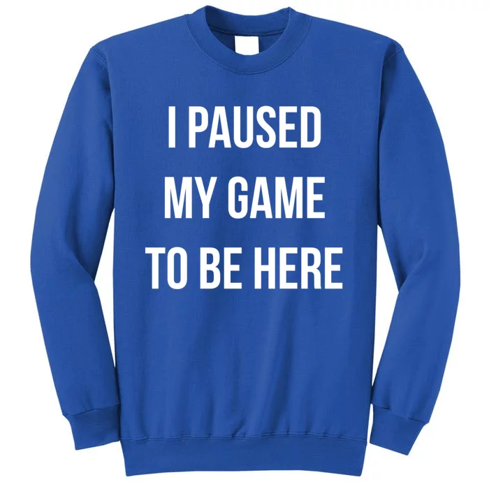 I Paused My Game To Be Here Gamer Hooded Cute Funny Gift Tall Sweatshirt