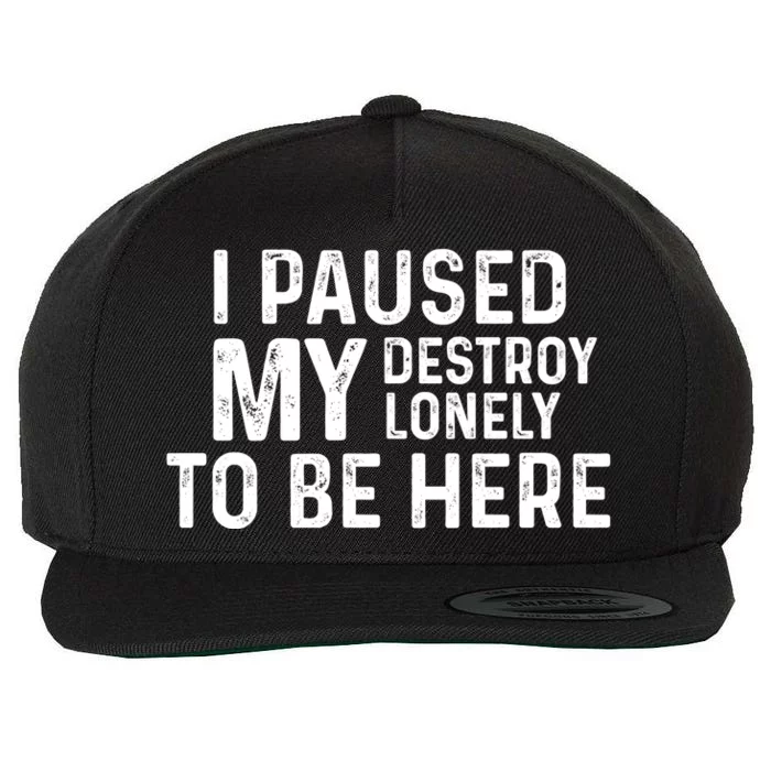 I Paused My Destroy Lonely To Be Here Wool Snapback Cap