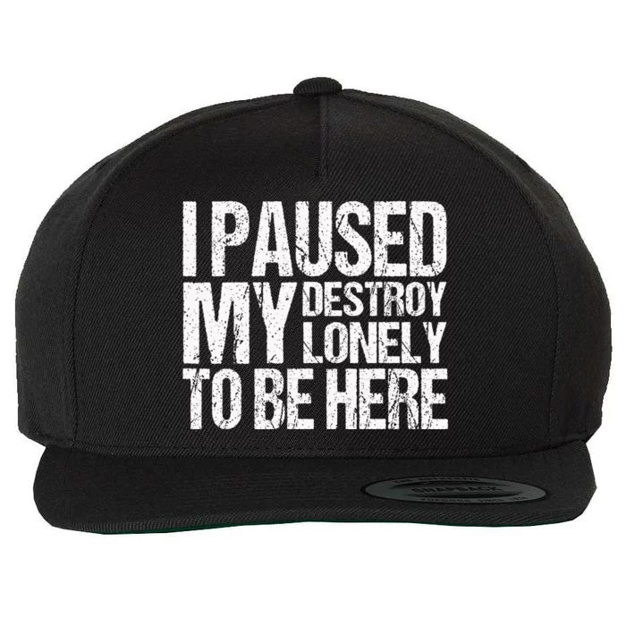 I Paused My Destroy Lonely To Be Here Wool Snapback Cap