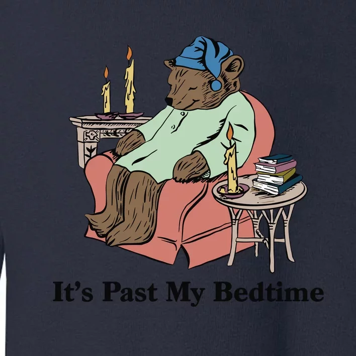 ItS Past My Bedtime Bear Taking A Nap Next To Books Toddler Sweatshirt