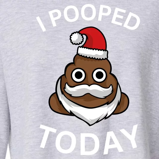 I Pooped Today! Funny Cropped Pullover Crew