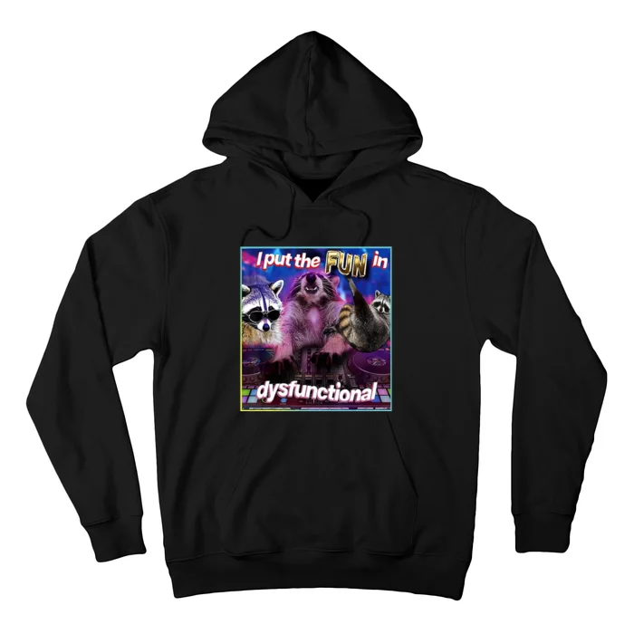 I Put The Sun Dysfunctional Racoon Meme Hoodie