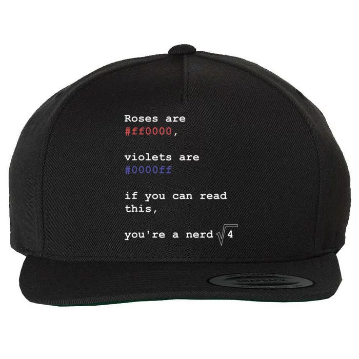 I Play With Pandas Python Computer Coding Programmer Coder Wool Snapback Cap