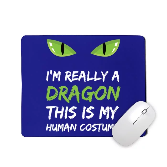 IM Really A Dragon This Is My Hu Costume Gift Cute Mousepad