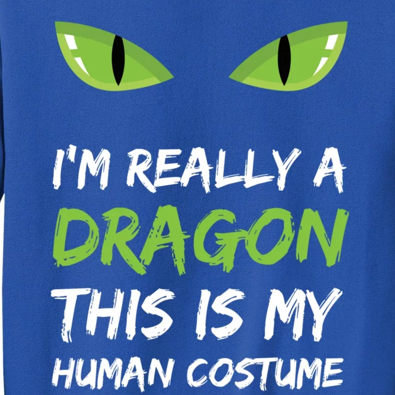 IM Really A Dragon This Is My Hu Costume Gift Cute Tall Sweatshirt