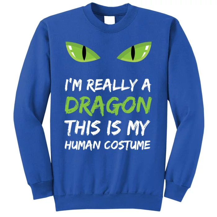 IM Really A Dragon This Is My Hu Costume Gift Cute Tall Sweatshirt