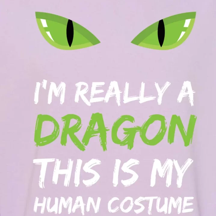 IM Really A Dragon This Is My Hu Costume Gift Cute Garment-Dyed Sweatshirt