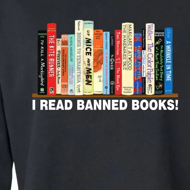 I Read Banned Books Cropped Pullover Crew