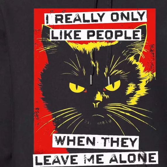 I Really Only Like People When They Leave Me Alone Black Cat Premium Hoodie