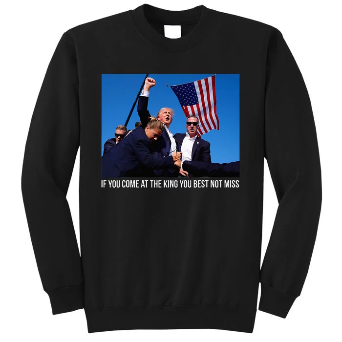 ID Rather Vote For A Felon Than A Jackass Trump Sweatshirt