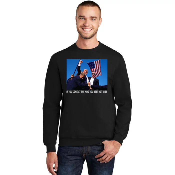 ID Rather Vote For A Felon Than A Jackass Trump Tall Sweatshirt