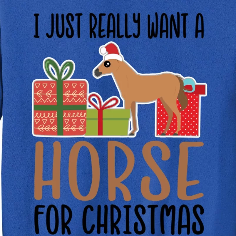 I Really Want A Horse For Christmas Funny Gift Tall Sweatshirt