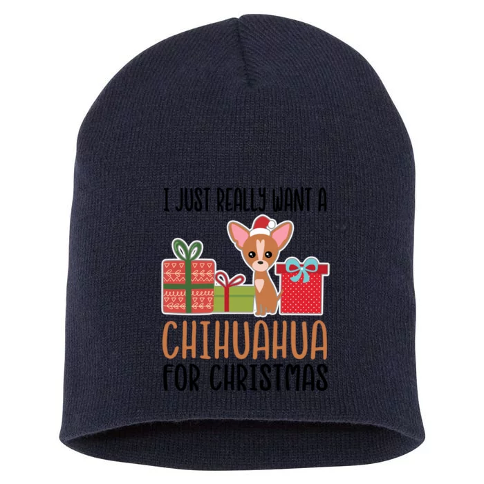 I Really Want A Chihuahua For Christmas Chihuahua Owner Gift Short Acrylic Beanie