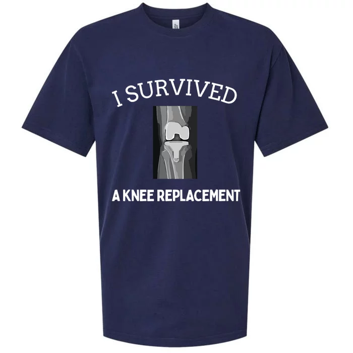 I Survived A Knee Replacement Sueded Cloud Jersey T-Shirt