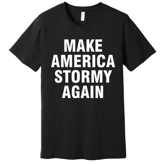 Im Sexy And I Tow It Make America Stormy Again Premium T-Shirt