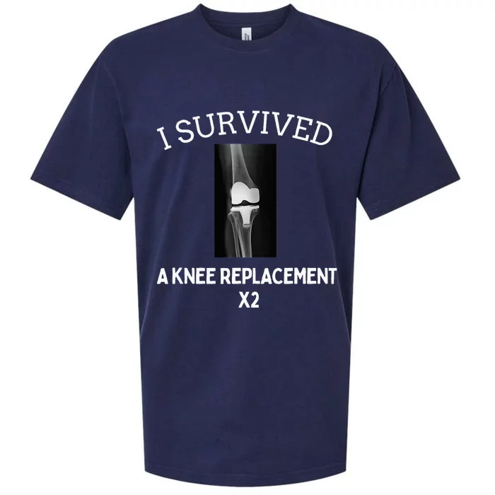 I Survived A Knee Replacet X2 Sueded Cloud Jersey T-Shirt