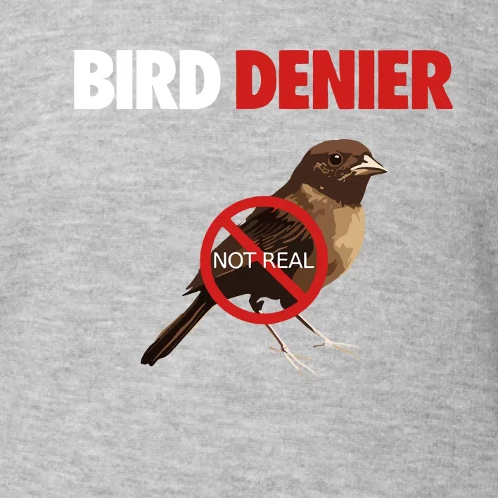 Illegal Shirts Bird Denier Not Real Toddler Sweatshirt