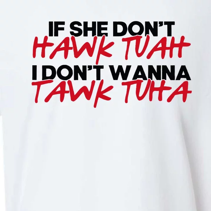 If She DonT Hawk Tuah I WonT Tawk Tuah Sueded Cloud Jersey T-Shirt