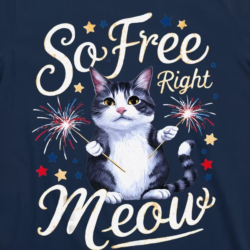 IM So Free Right Meow Funny 4th Of July Cat T-Shirt