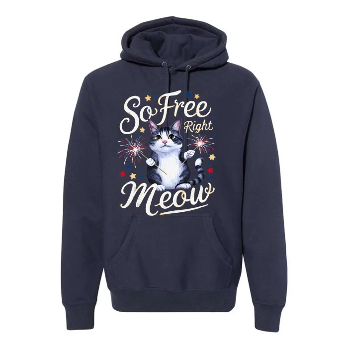 IM So Free Right Meow Funny 4th Of July Cat Premium Hoodie