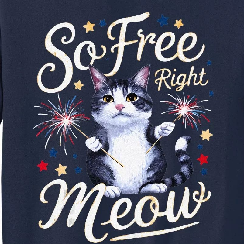 IM So Free Right Meow Funny 4th Of July Cat Tall Sweatshirt