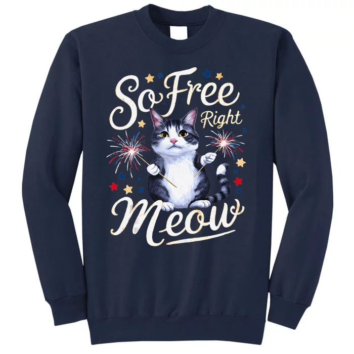 IM So Free Right Meow Funny 4th Of July Cat Tall Sweatshirt