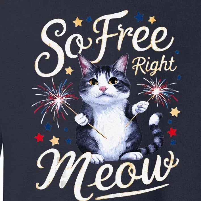 IM So Free Right Meow Funny 4th Of July Cat Toddler Sweatshirt