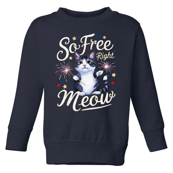 IM So Free Right Meow Funny 4th Of July Cat Toddler Sweatshirt