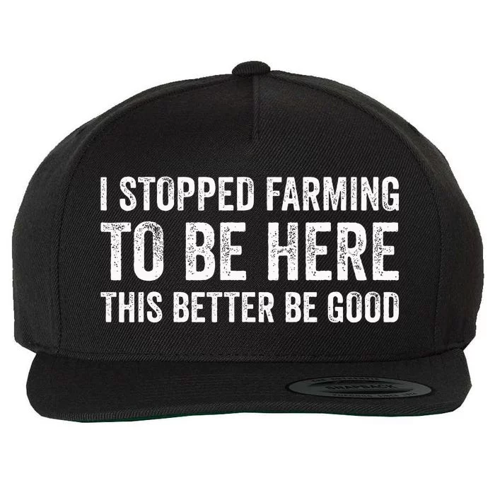 I Stopped Farming To Be Here This Better Be Good Wool Snapback Cap