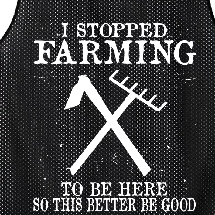 I Stopped Farming To Be Here So This Better Be Good Mesh Reversible Basketball Jersey Tank